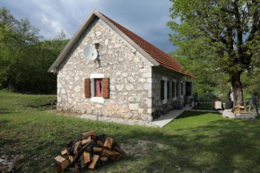 LAKE HOUSE 'VILIN KONAK'